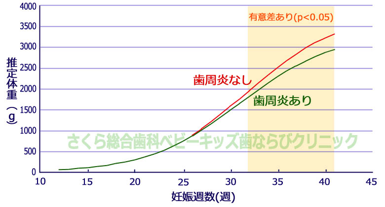 歯周病学基礎実習用顎模型(歯槽歯肉ピンク色・D咬合器つき